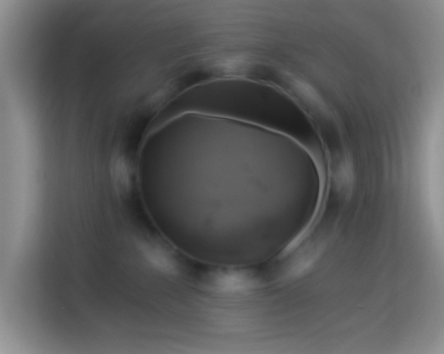 X0000114080235200910051405