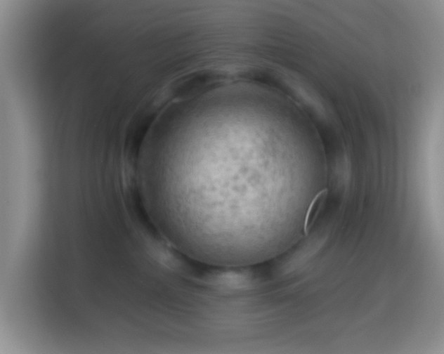 X0000114080236200910051405