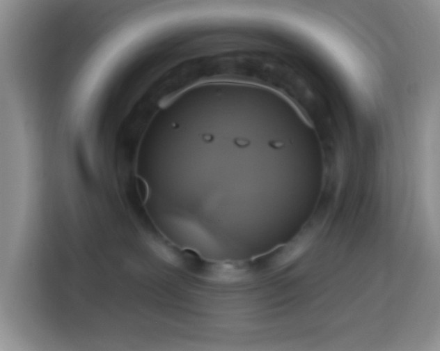 X0000114080239200910051405