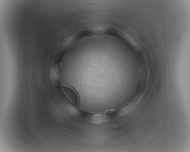 X0000114080240200910051405