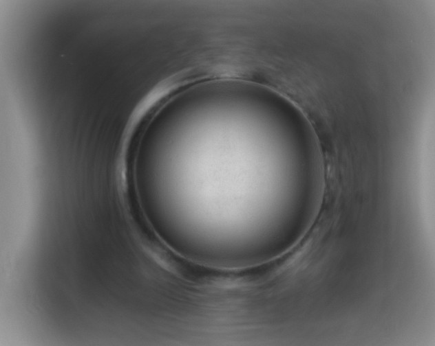 X0000114080246200910051405