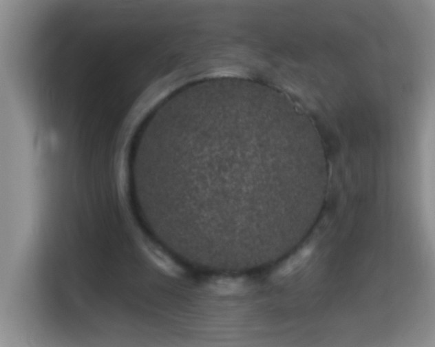 X0000114080247200910051405