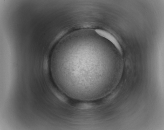 X0000114080250200910051405