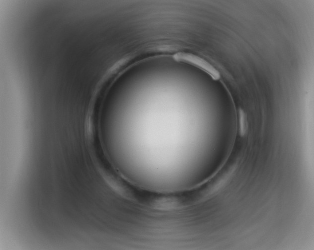 X0000114080252200910051405