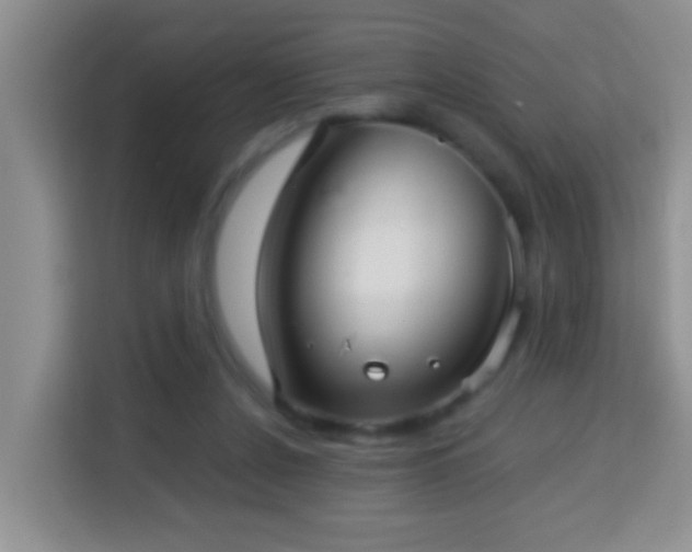 X0000114080256200910051405