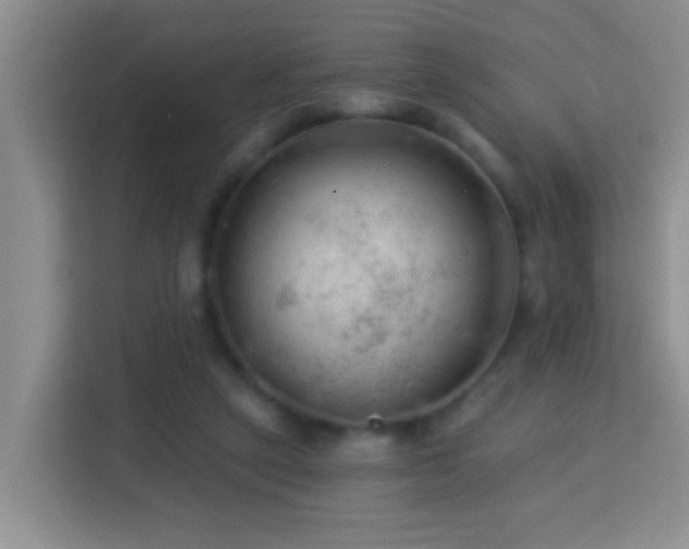 X0000114080257200910051405