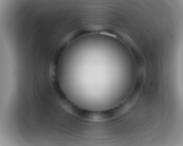 X0000114080264200910051405