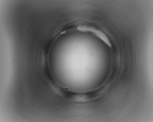 X0000114080266200910051405