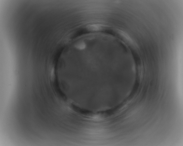 X0000114080267200910051405