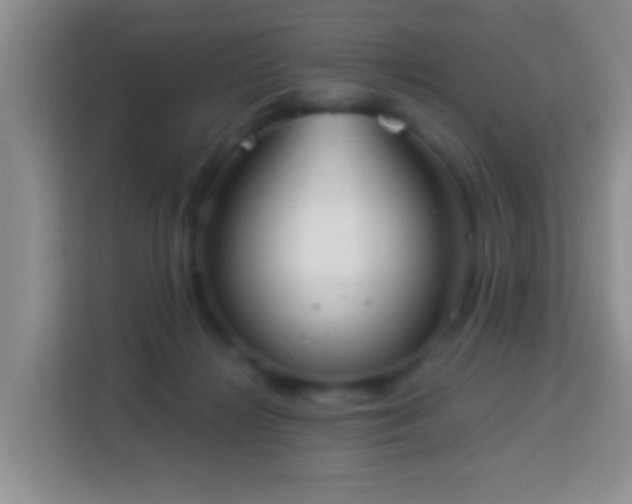 X0000114080268200910051405