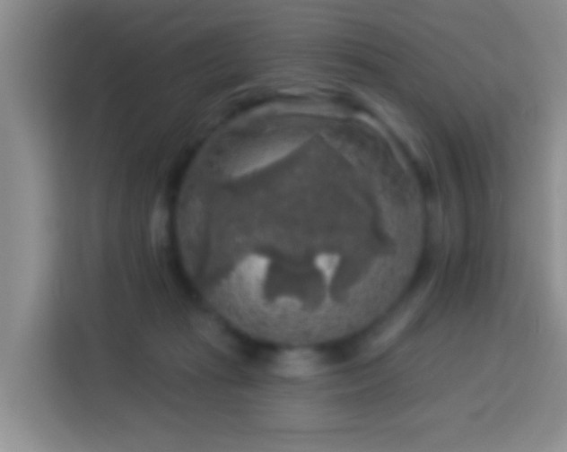 X0000114080269200910051405