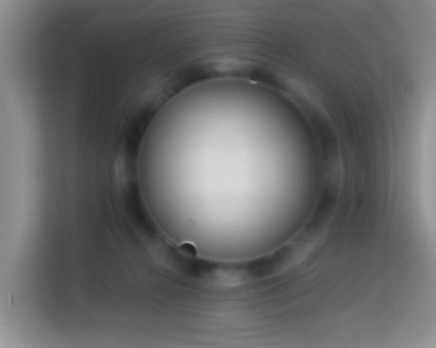 X0000114080272200910051405