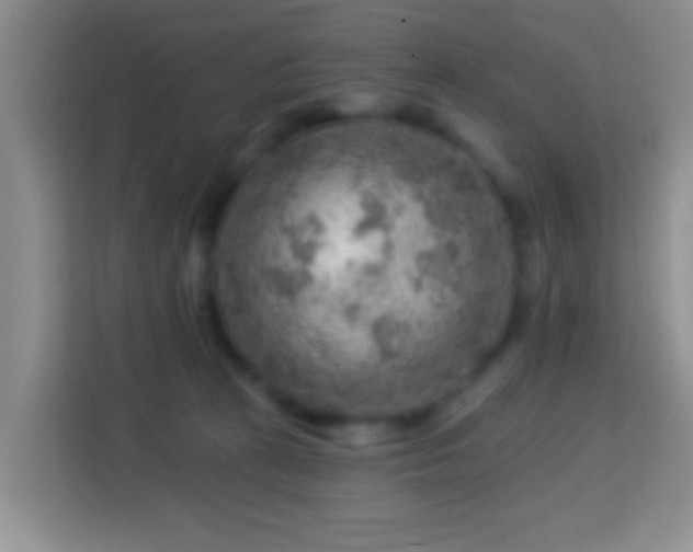 X0000114080273200910051405