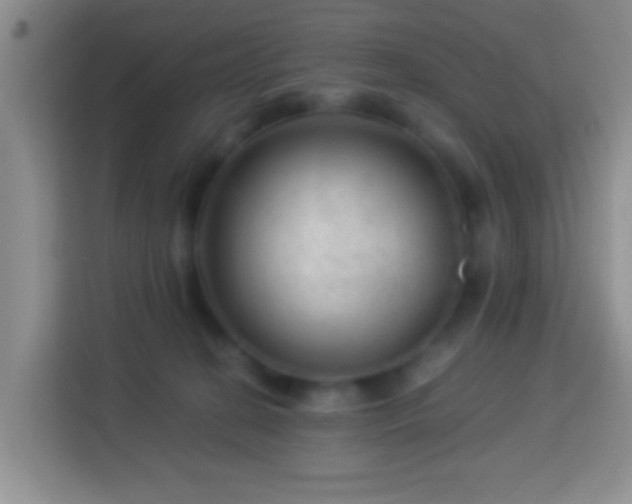 X0000114080274200910051405