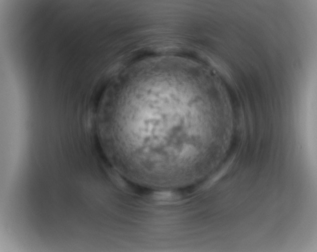 X0000114080281200910051405