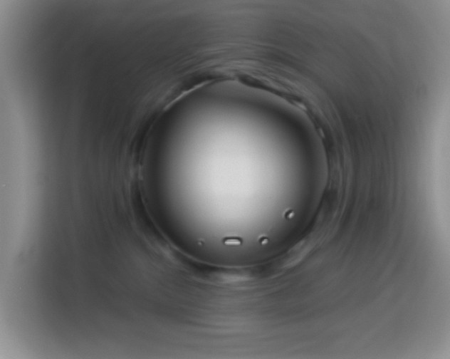 X0000114080284200910051405