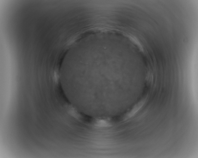 X0000114080285200910051405