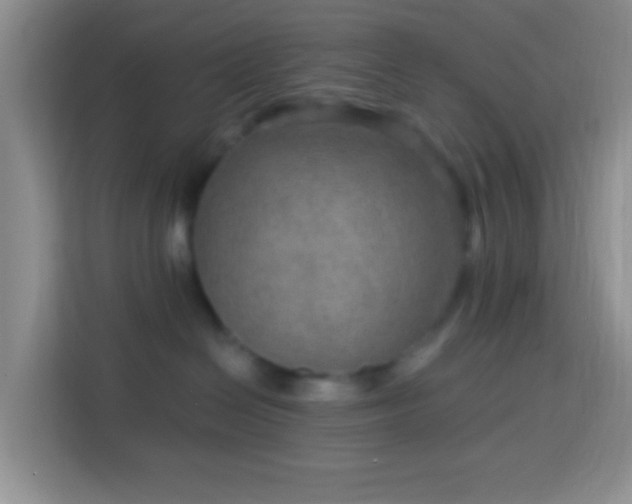 X0000114080286200910051405