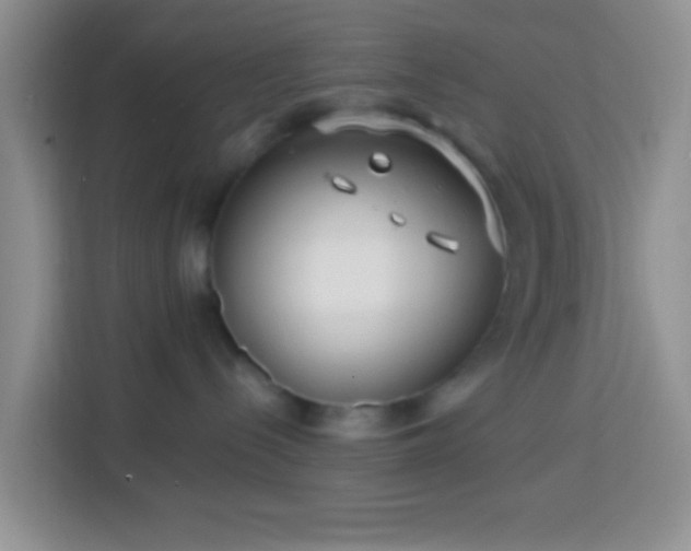 X0000114080288200910051405