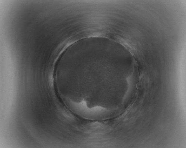 X0000114080290200910051404