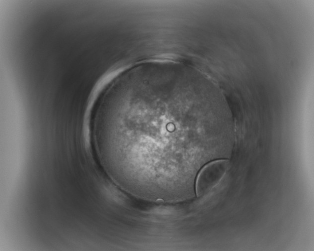 X0000114080294200910051404