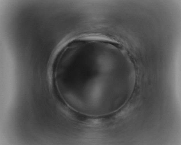 X0000114080295200910051404