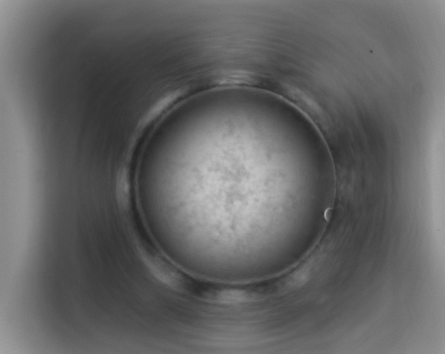 X0000114080298200910051404