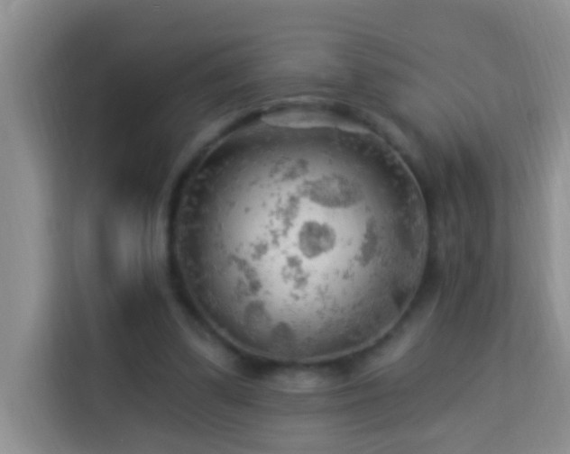 X0000114080299200910051404