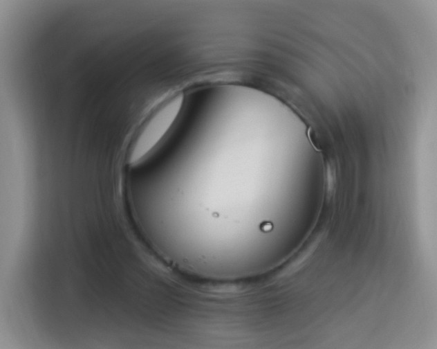 X0000114080301200910051404