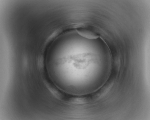 X0000114080303200910051404