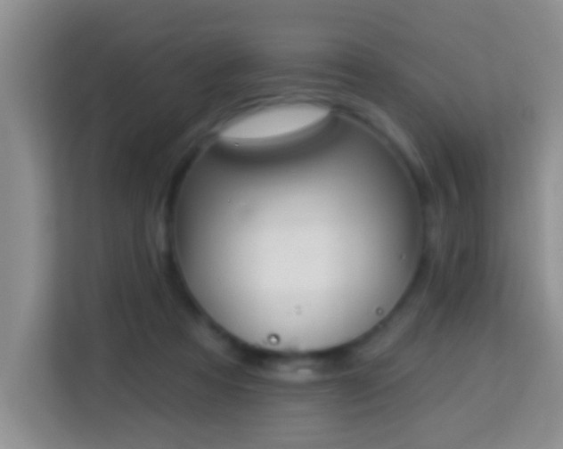 X0000114080313200910051404