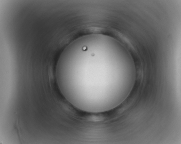 X0000114080317200910051404