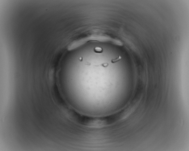 X0000114080319200910051404