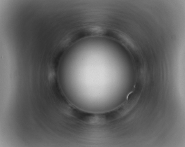 X0000114080320200910051404