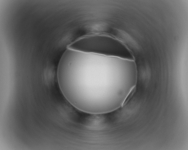 X0000114080328200910051404