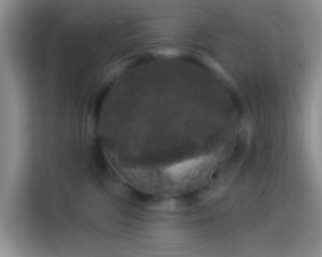 X0000114080330200910051404