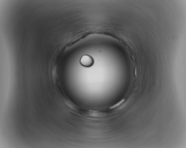 X0000114080336200910051404