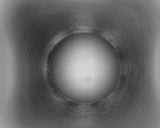 X0000114080338200910051403