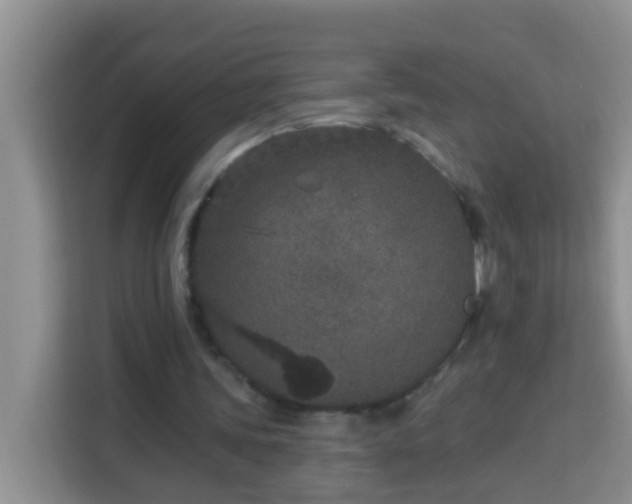 X0000114080339200910051403