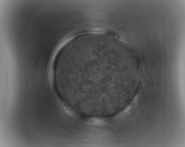 X0000114080343200910051403