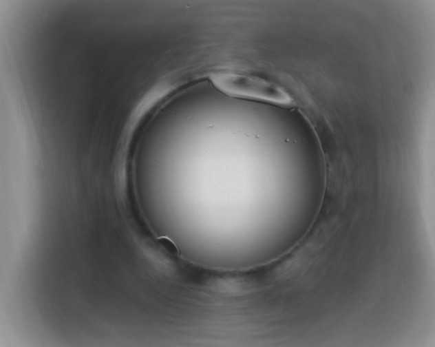 X0000114080344200910051403