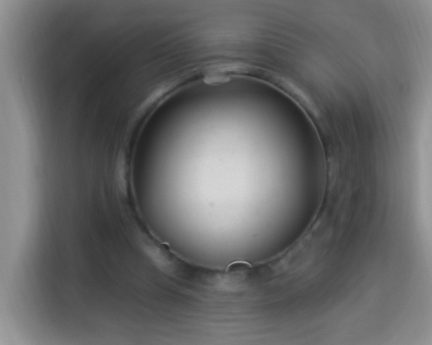 X0000114080345200910051403