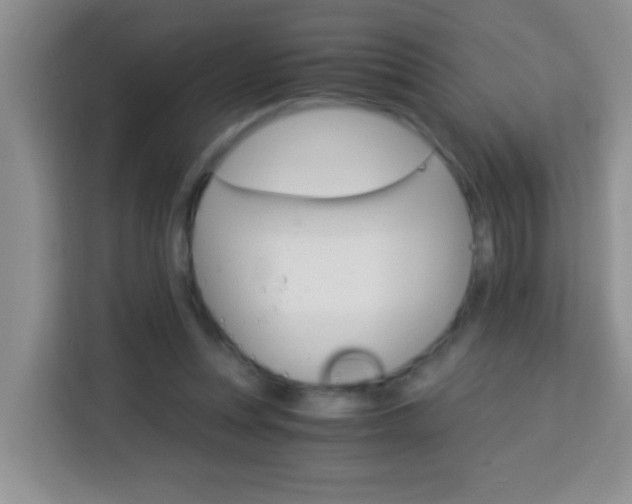 X0000114080351200910051403