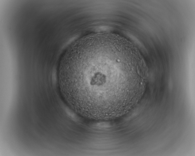 X0000114080353200910051403