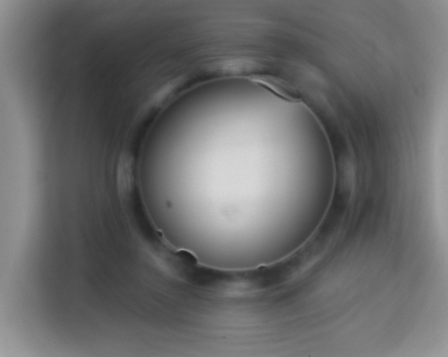 X0000114080356200910051403