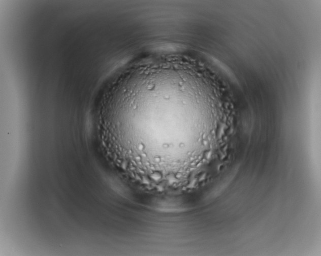 X0000114080359200910051403