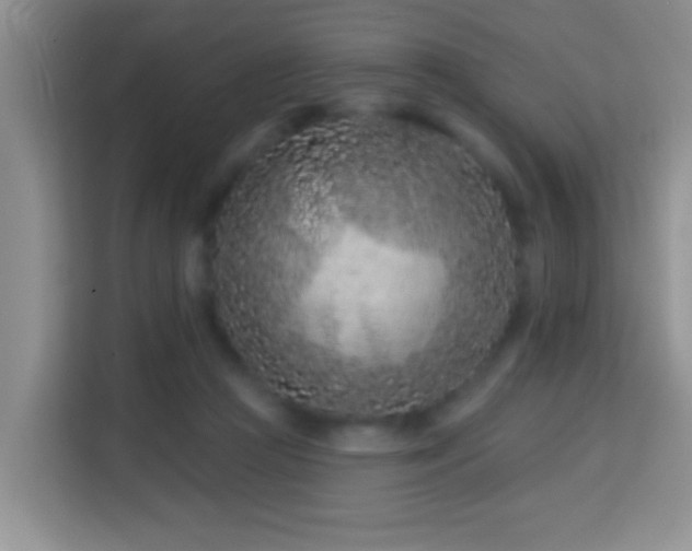 X0000114080361200910051403