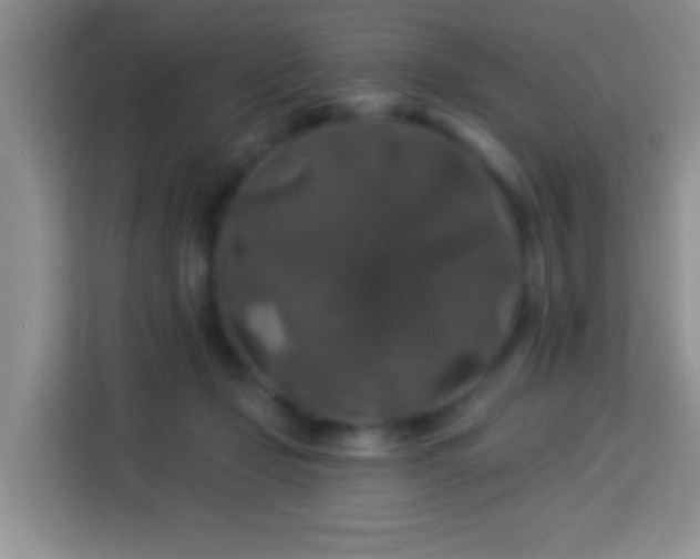 X0000114080365200910051403