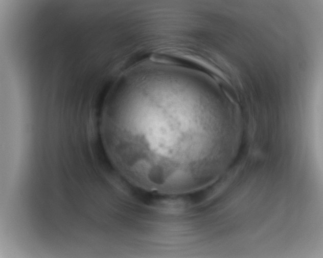 X0000114080366200910051404