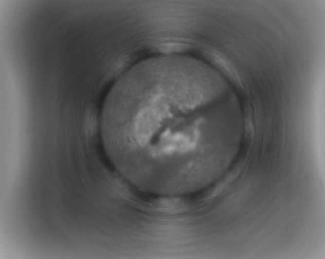 X0000114080367200910051404